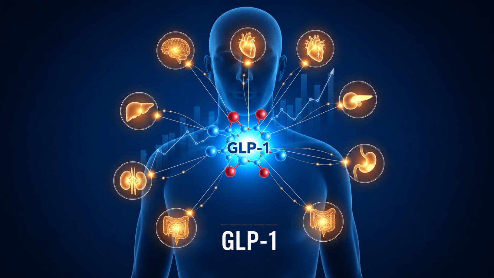 GLP-1 Nedir? GLP-1 Vücutta Nasıl Çalışır?