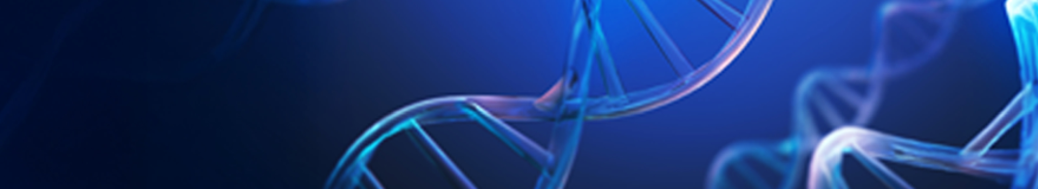 Blog Banner