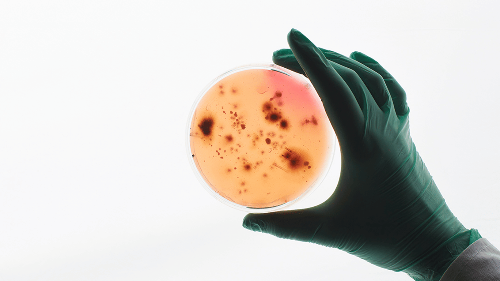 Zombi Hücreler (Senescent Hücreler) Nedir?