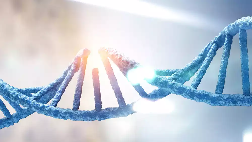 biyogenez