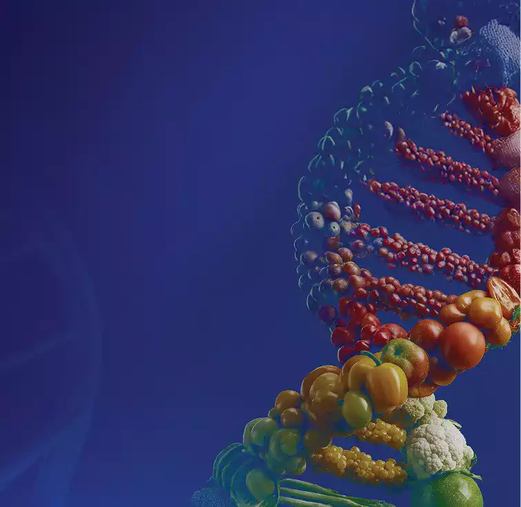 Metabolizma Sağlığı ve CGM Destekli Longevity Beslenme