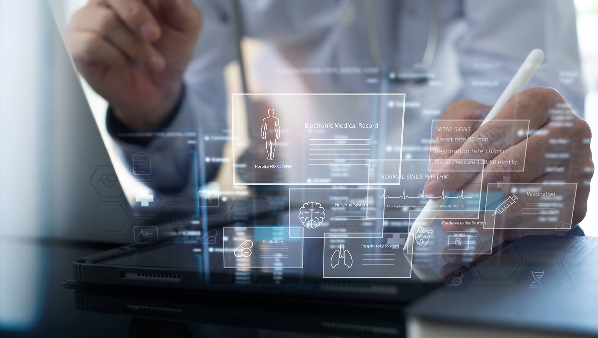 Kişisel Risk Analizi ve Longevity Planı